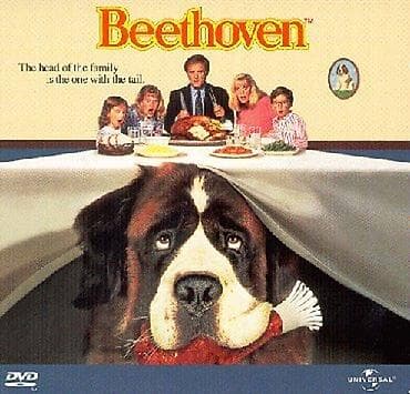 Betoven - svi filmovi u paketu, sa prevodom! Ukoliko zelite da na lalafo.rs Betoven - svi filmovi u paketu, sa prevodom! Ukoliko zelite da