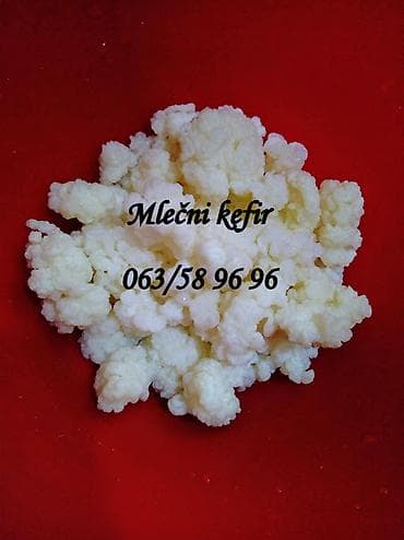 za svaki dan: Zrnca za pravljenje mlečnog kefira, količina za 1/2 litre mleka at lalafo.rs — 8 za svaki dan: Zrnca za pravljenje mlečnog kefira, količina za 1/2 litre mleka — 8