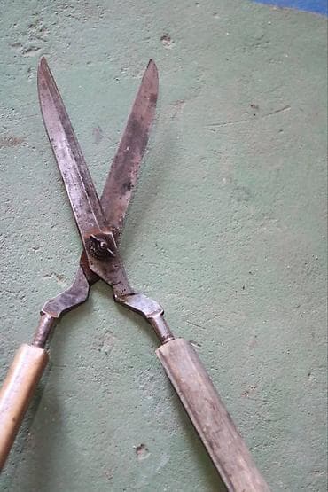 Seeds and seedlings: Makaze Makaze, stare kvalitetne, proizvedene u Nemackoj, drske nisu at lalafo.rs — 2 Seeds and seedlings: Makaze Makaze, stare kvalitetne, proizvedene u Nemackoj, drske nisu — 2