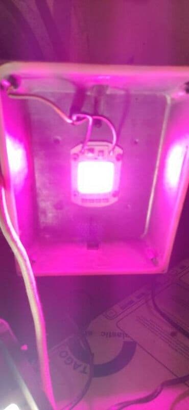 Garden Lighting: Led Reflektor Rast Biljki Led Grow Full Spectrum 50w 220v at lalafo.rs — 5 Garden Lighting: Led Reflektor Rast Biljki Led Grow Full Spectrum 50w 220v — 5