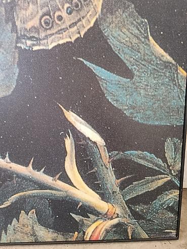 Slika na kanvas platnu kao nova, bez ostecenja Kuoljena u Italiji na lalafo.rs — 5 Slika na kanvas platnu kao nova, bez ostecenja Kuoljena u Italiji — 5