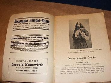 Akademie Theater Offizielles Programm Die Thompson Brothers 22 na lalafo.rs — 2 Akademie Theater Offizielles Programm Die Thompson Brothers 22 — 2