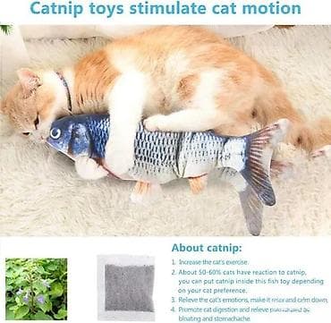 prsluk jaknica mango u: MAGIC FISH – pokretna interaktivna igračka za mačke - Imitira pokrete at lalafo.rs — 10 prsluk jaknica mango u: MAGIC FISH – pokretna interaktivna igračka za mačke - Imitira pokrete — 10