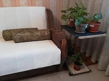 Set valjkastih jastuka sa jastučnicom ( 2 komada). Dimenzija: dužina na lalafo.rs — 2 Set valjkastih jastuka sa jastučnicom ( 2 komada). Dimenzija: dužina — 2