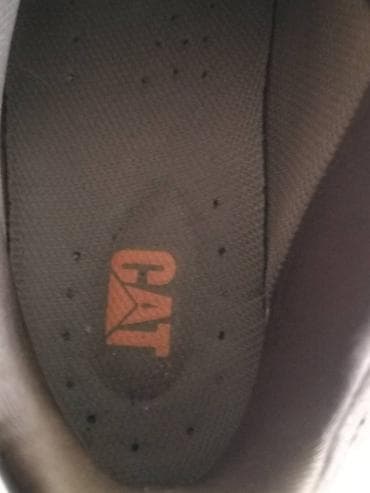 Muske cipele Caterpillar
Broj 40
Gaziste 25
Odlicno ocuvane na lalafo.rs — 5 Muske cipele Caterpillar
Broj 40
Gaziste 25
Odlicno ocuvane — 5