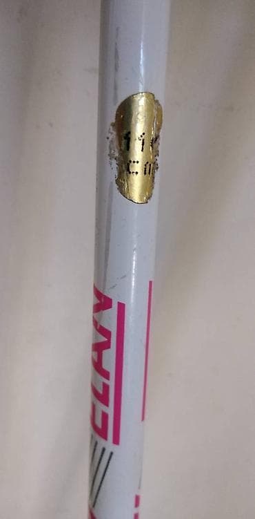 Sports & Leisure: Ski stapovi Elan Lady(duzina 110 cm)ocuvani at lalafo.rs — 2 Sports & Leisure: Ski stapovi Elan Lady(duzina 110 cm)ocuvani — 2