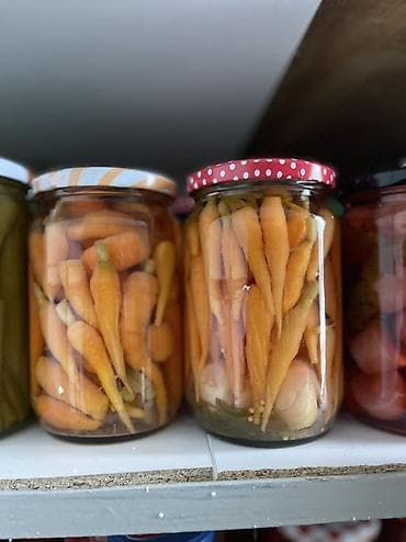 Domaći proizvodi – zimnica, džemovi, sirupi i čajevi (cene od 300 din) na lalafo.rs — 10 Domaći proizvodi – zimnica, džemovi, sirupi i čajevi (cene od 300 din) — 10