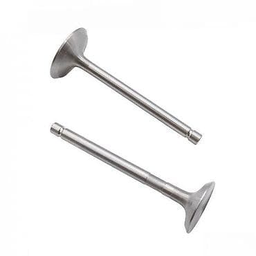 Upravljački ventili motora (usisni/izduvni) – set od 2 komada - na lalafo.rs Upravljački ventili motora (usisni/izduvni) – set od 2 komada -