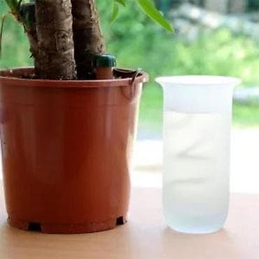 Irrigation systems: Samozalivni keramički konus za zalivanje sobnih biljaka - Sistem kap at lalafo.rs — 5 Irrigation systems: Samozalivni keramički konus za zalivanje sobnih biljaka - Sistem kap — 5