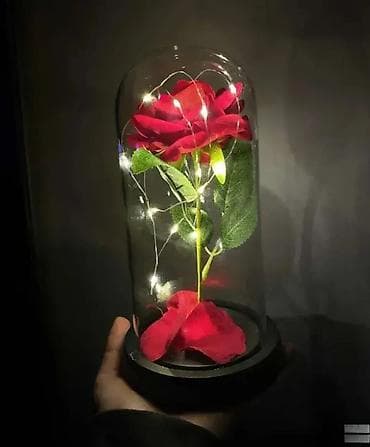 Ruža sa Staklenim Zvonom - Crvena 🌹💎 (Poklon) Karakteristike: Večna na lalafo.rs — 1 Ruža sa Staklenim Zvonom - Crvena 🌹💎 (Poklon) Karakteristike: Večna — 1