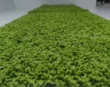 Shaggy Staza 162 x 50 cm – kvalitetna i praktična Nova staza dimenzija na lalafo.rs — 1 Shaggy Staza 162 x 50 cm – kvalitetna i praktična Nova staza dimenzija — 1