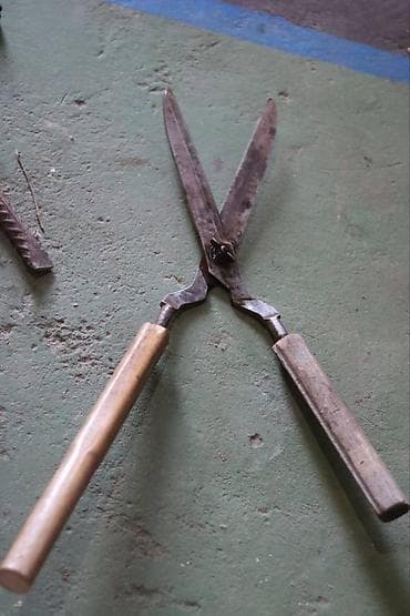 Seeds and seedlings: Makaze Makaze, stare kvalitetne, proizvedene u Nemackoj, drske nisu at lalafo.rs — 1 Seeds and seedlings: Makaze Makaze, stare kvalitetne, proizvedene u Nemackoj, drske nisu — 1