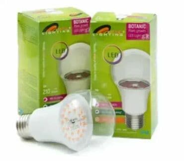 Baštenska rasveta: Šifra artikla: 5124 Jedinica mere: kom Artikal: LED sijalica LED: SMD na lalafo.rs — 3 Baštenska rasveta: Šifra artikla: 5124 Jedinica mere: kom Artikal: LED sijalica LED: SMD — 3