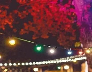 LED Šarene Kugle 5m Preslatke i savršene LED lampice kugle, dostupne na lalafo.rs — 3 LED Šarene Kugle 5m Preslatke i savršene LED lampice kugle, dostupne — 3