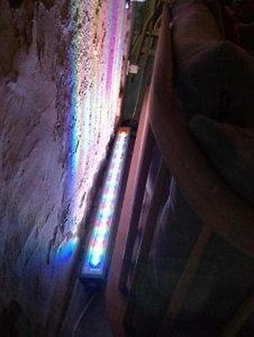 RGB:Reflektori par,paneli,sijalice,trake,tube,zvezdano nebo. Kontakt na lalafo.rs — 10 RGB:Reflektori par,paneli,sijalice,trake,tube,zvezdano nebo. Kontakt — 10