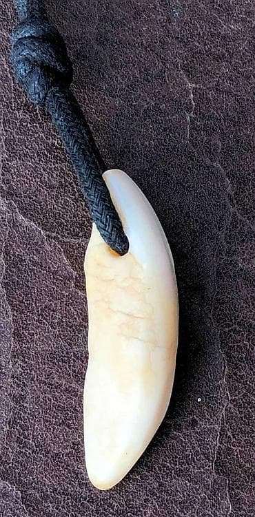 Ajkulin Zub Ogrlica sa ZUBOM AJKULE – Tribal Stil Ogrlica sa na lalafo.rs — 4 Ajkulin Zub Ogrlica sa ZUBOM AJKULE – Tribal Stil Ogrlica sa — 4