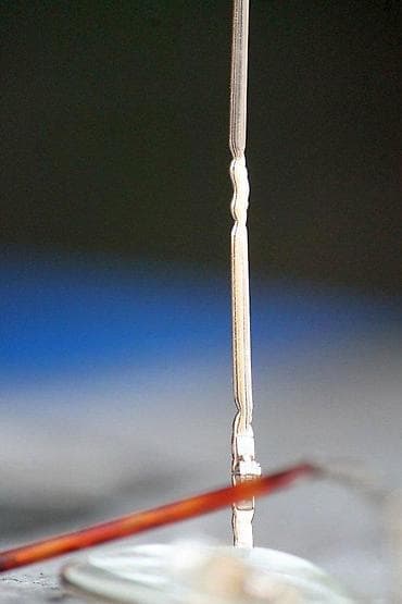 AB (Apple Bottoms) dioptrijski ram. Model AB - 2941 48 ( ) 19 GOLD na lalafo.rs — 9 AB (Apple Bottoms) dioptrijski ram. Model AB - 2941 48 ( ) 19 GOLD — 9