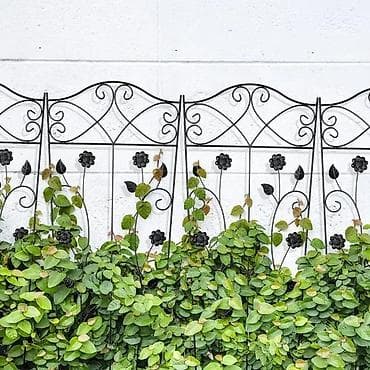 prsluk jaknica mango u: Dekorativne metalne rešetke za penjačice – set vrtnih trelisa - at lalafo.rs — 3 prsluk jaknica mango u: Dekorativne metalne rešetke za penjačice – set vrtnih trelisa - — 3