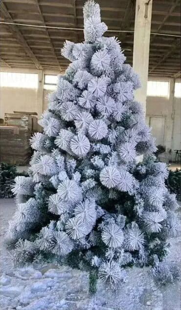 Jelka na lalafo.rs Jelka