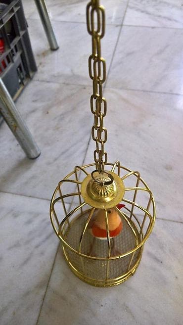 Kanarinac na baterije u kavezu na lalafo.rs — 3 Kanarinac na baterije u kavezu — 3