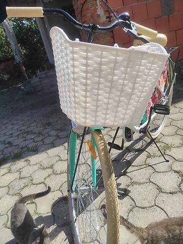 igrice za ps3: Gradski ženski bicikl „Jasmin“ sa cvetnim detaljima CENA:200e - Ram at lalafo.rs — 8 igrice za ps3: Gradski ženski bicikl „Jasmin“ sa cvetnim detaljima CENA:200e - Ram — 8