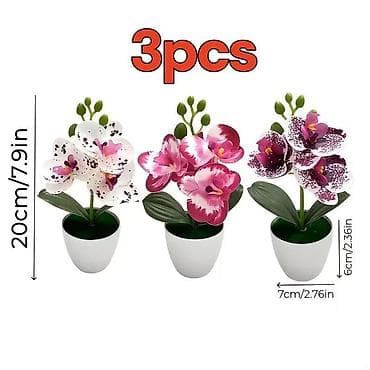 02. Veštačka orihideja sa saksijom
Visina 20cm
Cena:850 din/kom na lalafo.rs 02. Veštačka orihideja sa saksijom
Visina 20cm
Cena:850 din/kom