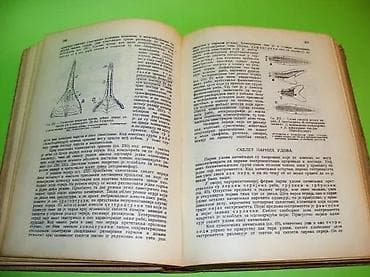 bermude teksas br: Naslov: Uporedna anatomija kičmenjakaAutor: Siniša StankovićIzdavač na lalafo.rs — 6 bermude teksas br: Naslov: Uporedna anatomija kičmenjakaAutor: Siniša StankovićIzdavač — 6