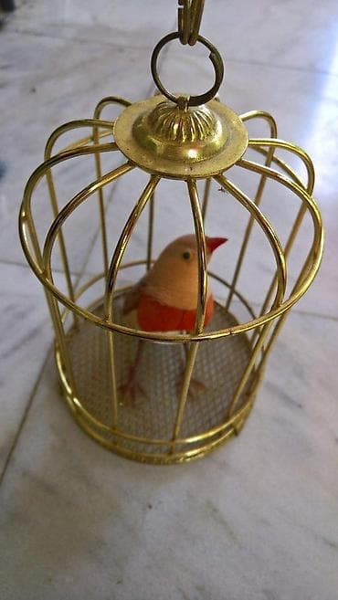 Kanarinac na baterije u kavezu na lalafo.rs — 2 Kanarinac na baterije u kavezu — 2