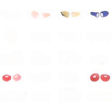 Silikonski čepići/zaštite za uši – set više pari - Višenamenski na lalafo.rs Silikonski čepići/zaštite za uši – set više pari - Višenamenski