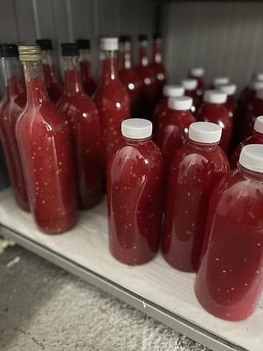 Domaći proizvodi – zimnica, džemovi, sirupi i čajevi (cene od 300 din) na lalafo.rs — 8 Domaći proizvodi – zimnica, džemovi, sirupi i čajevi (cene od 300 din) — 8