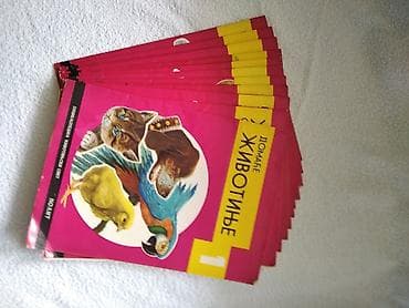 Нолит Мале енциклопедије 1-12 писмо ћирилица Енциклопедија о at lalafo.rs — 4 Нолит Мале енциклопедије 1-12 писмо ћирилица Енциклопедија о — 4