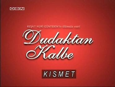 Plač violine (kismet) - turska serija Cela serija, sa prevodom - sve na lalafo.rs Plač violine (kismet) - turska serija Cela serija, sa prevodom - sve