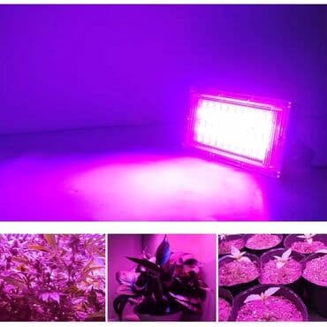 Garden Lighting: Led Reflektor Rast Biljki Led Grow Full Spectrum 50w 220v at lalafo.rs — 4 Garden Lighting: Led Reflektor Rast Biljki Led Grow Full Spectrum 50w 220v — 4