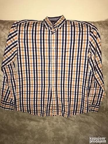 original esprit: Shirt Paul Shark, color - Multicolored at lalafo.rs — 1 original esprit: Shirt Paul Shark, color - Multicolored — 1