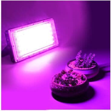 Garden Lighting: Led Reflektor Rast Biljki Led Grow Full Spectrum 50w 220v at lalafo.rs — 3 Garden Lighting: Led Reflektor Rast Biljki Led Grow Full Spectrum 50w 220v — 3