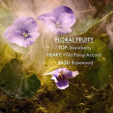 Beauty & Care: Midnight Magic Elvie toaletna voda
1799.00 at lalafo.rs — 5 Beauty & Care: Midnight Magic Elvie toaletna voda
1799.00 — 5