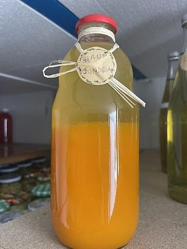 Domaći proizvodi – zimnica, džemovi, sirupi i čajevi (cene od 300 din) na lalafo.rs — 6 Domaći proizvodi – zimnica, džemovi, sirupi i čajevi (cene od 300 din) — 6