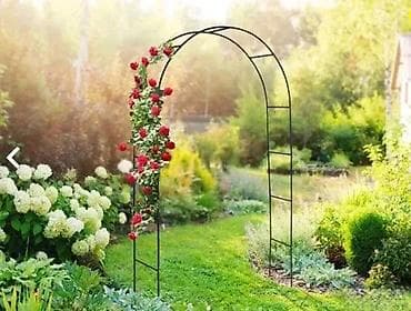 prsluk jaknica mango u: LIVARNO Home – Metalni luk za ruže (Rose Arch) - Dekorativan vrtni at lalafo.rs — 4 prsluk jaknica mango u: LIVARNO Home – Metalni luk za ruže (Rose Arch) - Dekorativan vrtni — 4