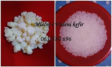 za svaki dan: Zrnca za pravljenje mlečnog kefira, količina za 1/2 litre mleka at lalafo.rs — 6 za svaki dan: Zrnca za pravljenje mlečnog kefira, količina za 1/2 litre mleka — 6