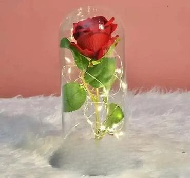 Ruža pod Staklenim Zvonom - Crvena 🌹💎 (Poklon) Karakteristike: Večna na lalafo.rs — 3 Ruža pod Staklenim Zvonom - Crvena 🌹💎 (Poklon) Karakteristike: Večna — 3