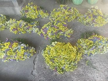 🌸 Statica suvo cvece
Buket za samo 🌸❌ at lalafo.rs — 6 🌸 Statica suvo cvece
Buket za samo 🌸❌ — 6