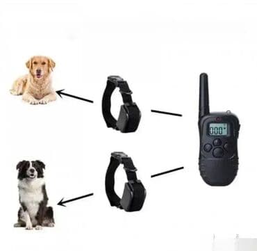 Vodootporna ogrlica za dresuru 🐾 Dobrodošli u Davidov shop online na lalafo.rs Vodootporna ogrlica za dresuru 🐾 Dobrodošli u Davidov shop online