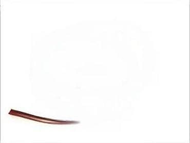 Drvena češagija/grebalica za kućne ljubimce - Materijal: glatko na lalafo.rs Drvena češagija/grebalica za kućne ljubimce - Materijal: glatko