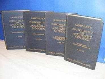 Rauber-Kopsch 1-4Lehrbuch und Atlas der Anatomie des Menschen na lalafo.rs — 5 Rauber-Kopsch 1-4Lehrbuch und Atlas der Anatomie des Menschen — 5