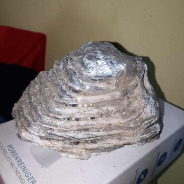 Crystals and minerals: Fosil zuba mamuta (molara) – autentičan segment sa jasno vidljivim at lalafo.rs — 3 Crystals and minerals: Fosil zuba mamuta (molara) – autentičan segment sa jasno vidljivim — 3