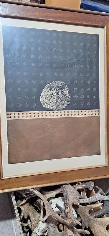 Grafika u ramu – potpisana i numerisana - Originalna grafika na na lalafo.rs Grafika u ramu – potpisana i numerisana - Originalna grafika na