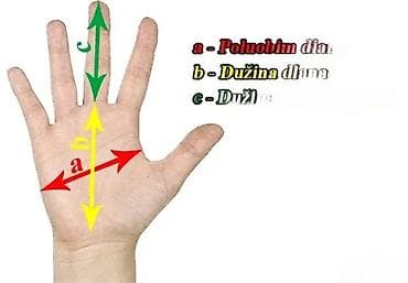 Oprema za bicikliste: Rukavice za biciklizam/MTB – dugi prsti - Gornji deo: prozračan na lalafo.rs — 4 Oprema za bicikliste: Rukavice za biciklizam/MTB – dugi prsti - Gornji deo: prozračan — 4