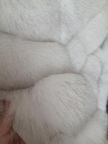 HITNO Bunda od prirodnog krzna – NOVA, boja sneg‑bela sa sitnim na lalafo.rs HITNO Bunda od prirodnog krzna – NOVA, boja sneg‑bela sa sitnim