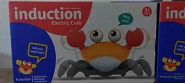 Creative & Educational Toys: SETAJUCA MUZICKA KRABA NOVO HIT IGRACKA ZA DECU AKCIJA | Cene nisu at lalafo.rs — 4 Creative & Educational Toys: SETAJUCA MUZICKA KRABA NOVO HIT IGRACKA ZA DECU AKCIJA | Cene nisu — 4