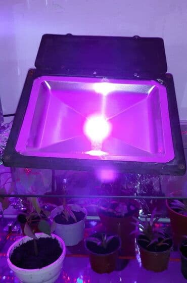 Garden Lighting: Led Reflektor Rast Biljki Led Grow Full Spectrum 50w 220v at lalafo.rs — 9 Garden Lighting: Led Reflektor Rast Biljki Led Grow Full Spectrum 50w 220v — 9